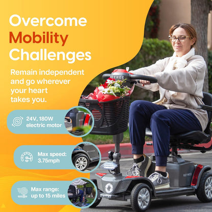 Electric Mobility Scooter Cruiser 180W 24V