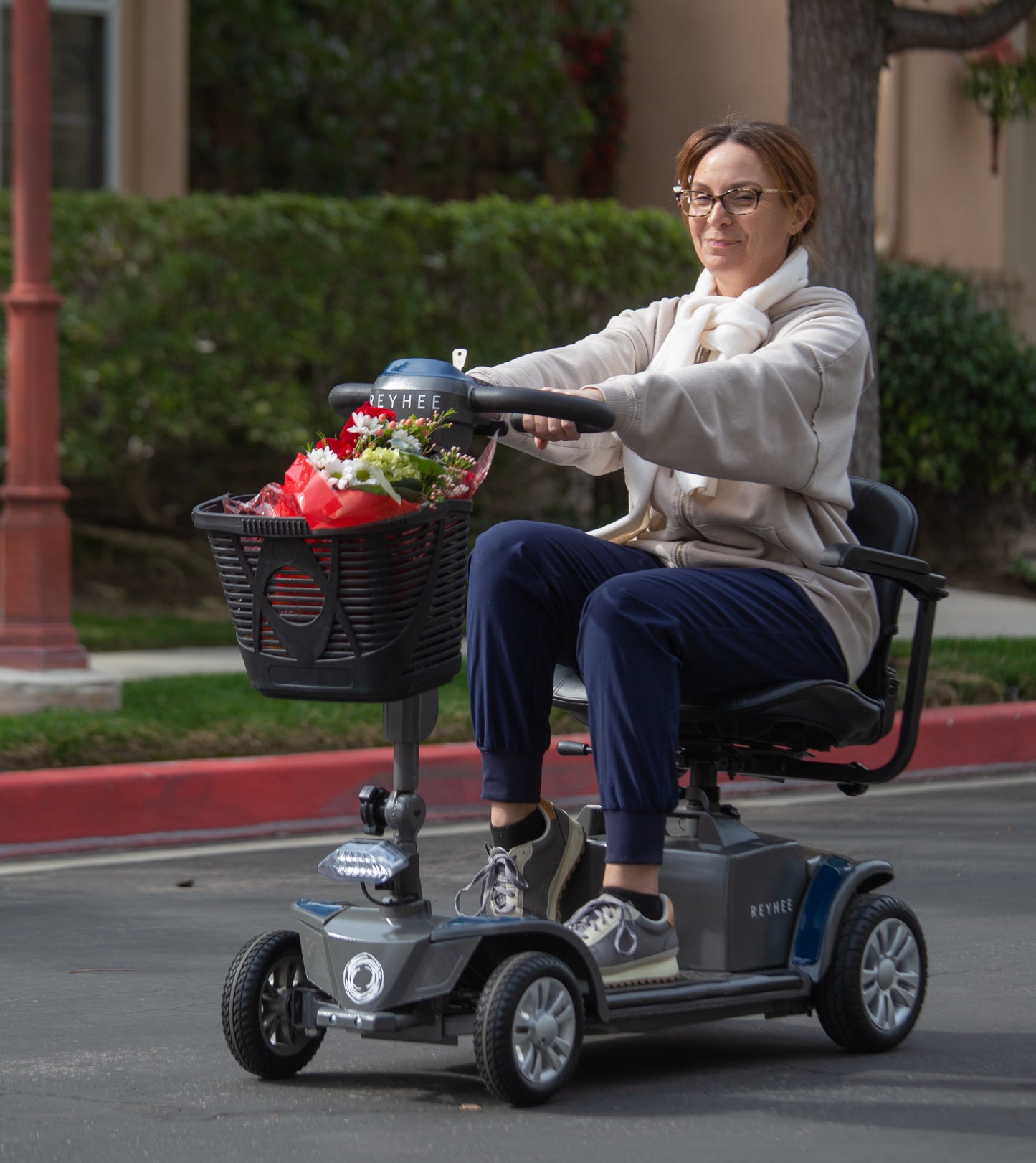 Electric Mobility Scooter Cruiser 180W 24V