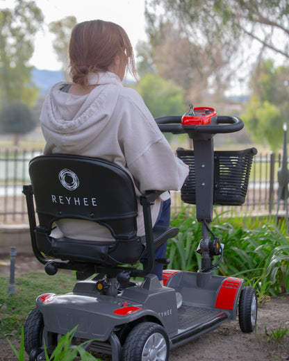 Electric Mobility Scooter Cruiser 180W 24V